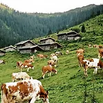 Enzian Gasthof *