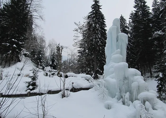 Enzian * نيديراو