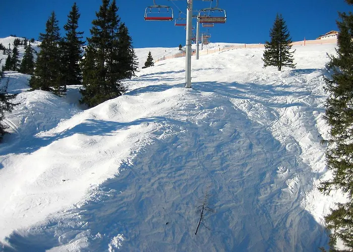 Enzian نيديراو