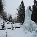 Enzian * Niederau